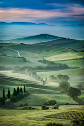 The Light and Lines of Tuscany